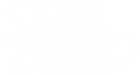 logo star bem white